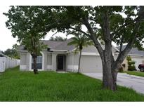 Charming single-story home with a well-manicured lawn and mature trees in a quiet neighborhood at 11227 Thicket Ct, Tampa, FL 33624