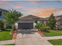 Charming single-Gathering home features a well-manicured lawn and a two-car garage at 11745 Brighton Knoll Loop, Riverview, FL 33579