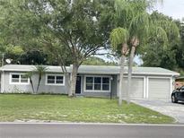 Charming single-story home with a well-maintained lawn and mature trees in a desirable neighborhood at 12417 N Rome Ave, Tampa, FL 33612