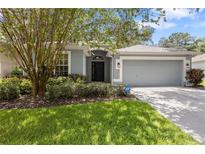 Charming single-story home boasts a well-manicured lawn, mature landscaping, and a two-car garage at 2910 Red Coat Cir, Brandon, FL 33511