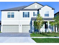 Beautiful two-story home with a two-car garage and a well-maintained lawn at 13520 White Sapphire Rd, Riverview, FL 33579