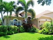 Charming home featuring lush landscaping, a well-manicured lawn, and beautiful palm trees at 27810 Sky Lake Cir, Wesley Chapel, FL 33544