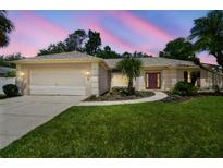 Charming single-story home with a well-manicured lawn and a two-car garage at 18504 Putters Pl, Tampa, FL 33647
