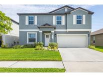 Charming two-story home featuring a well-maintained lawn, attached two-car garage, and welcoming front entrance at 10270 Shady Preserve Dr, Riverview, FL 33578