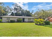 Charming single-story home with well-maintained lawn and mature landscaping at 16113 Tampa St, Lutz, FL 33548