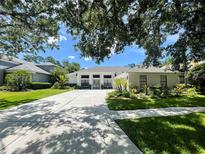 Beautifully landscaped home with manicured lawn, long driveway, and bright exterior paint at 3612 Cordgrass Dr, Valrico, FL 33596
