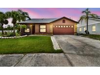 Charming single-story home with a well-manicured lawn and mature palm trees against a sunset sky at 11304 Plumtree Ct, Riverview, FL 33579