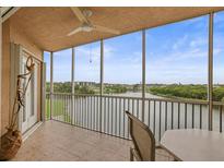 Relaxing screened balcony with tiled floor and beautiful lake view at 6450 Shoreline Dr Dr # 9202, St Petersburg, FL 33708