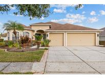Beautiful single-Gathering home with a well-maintained lawn, mature landscaping, and a two-car garage at 22623 Cliffside Way, Land O Lakes, FL 34639