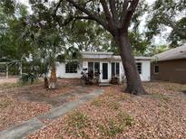 A single-story home with a white exterior and large tree in the front yard at 4050 Iris N St, St Petersburg, FL 33703