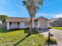 Charming single-story home featuring a palm tree in the front yard and a one car garage at 7619 Limington Dr, Port Richey, FL 34668