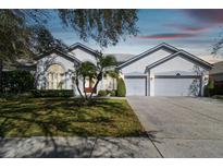 Charming home with a well-manicured lawn and a two-car garage, perfect for suburban living at 15209 Hammock Chase Ct, Odessa, FL 33556