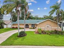 Charming single-story home with a well-manicured lawn, mature palm trees, and a circular driveway at 5110 Lake Valencia E Blvd, Palm Harbor, FL 34684