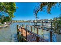 View 1841 Venetian Point Dr Clearwater FL