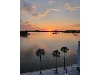 Beautiful sunset view over the water with palm trees in the foreground, offering a serene and tropical ambiance at 1848 Shore S Dr # 501, South Pasadena, FL 33707