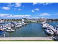 Waterfront property with marina and boats at 429 3Rd N Ave, Tierra Verde, FL 33715