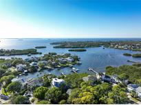 Waterfront community with numerous homes and lush greenery at 761 Soundview Dr, Palm Harbor, FL 34683