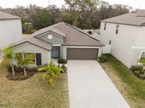 View 12945 Wildflower Meadow Dr Riverview FL