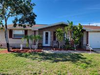 1153 Tamarac Dr, Holiday, FL 34690