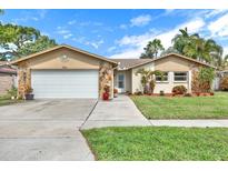 View 9651 129Th Ave Largo FL