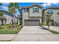 View 14231 Damselfly Dr Tampa FL