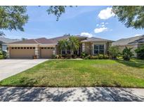 View 10254 Shadow Branch Dr Tampa FL
