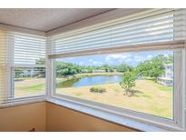 Bright room featuring large windows offering scenic views of the community lake at 2228 Swedish Dr # 42, Clearwater, FL 33763