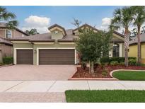 View 13717 Moonstone Canyon Dr Riverview FL