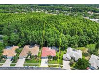 Aerial view of single-Gathering home nestled in a quiet community with lush landscaping at 3181 Sterling St, Tarpon Springs, FL 34688