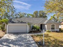 Charming single-story home with a well-maintained lawn and a two-car garage at 4557 35Th Avenue E Cir, Palmetto, FL 34221