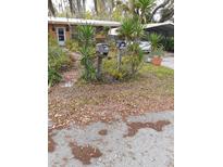 House exterior with a yard needing some landscaping at 1401 W Spencer St, Plant City, FL 33563