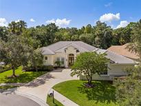 Stunning aerial view of a two-story house with a large backyard and driveway at 16366 Heathrow Dr, Tampa, FL 33647