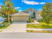 Charming single-story home featuring a manicured lawn and a two-car garage at 1008 Blue Heron Way, Tarpon Springs, FL 34689