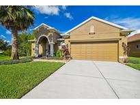 View 11103 Shelter Cove Loop New Port Richey FL