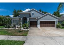 View 1508 Tawnyberry Ct Trinity FL