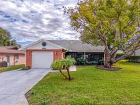 View 10814 Hachita Dr Port Richey FL