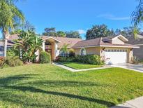 View 4850 Musselshell Dr New Port Richey FL