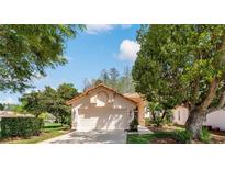 Single-story home with a two car garage, nestled amongst lush landscaping at 1383 Dartford Dr, Tarpon Springs, FL 34688