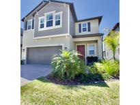 View 8268 Rolling Tides Dr New Port Richey FL