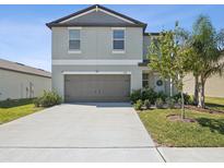 View 6100 Apple Snail Ave New Port Richey FL