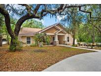 One-story home exterior with driveway and landscaping at 11193 Baltimore St, Weeki Wachee, FL 34614