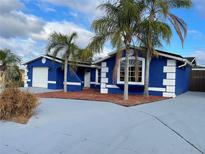 Blue house with white trim, attached garage, and palm trees at 7446 Donegal St, New Port Richey, FL 34653