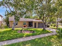 House exterior with landscaping and driveway at 10824 Peppertree Ln, Port Richey, FL 34668