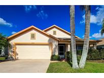 Single-story house with a two-car garage and landscaped yard at 20743 Nectarine Pl, Land O Lakes, FL 34637