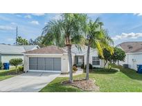 Single-story house with screened garage and palm trees at 4222 Northampton Dr, New Port Richey, FL 34653