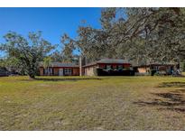 Ranch-style home with mature landscaping and a spacious yard at 10525 Hilltop Dr, New Port Richey, FL 34654
