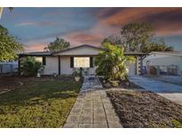 Updated single story home with landscaped yard and walkway at 3800 Carioca Rd, Holiday, FL 34691