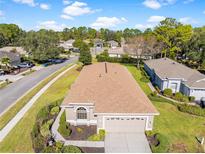 Aerial view of single-Gathering house, showcasing its exterior and landscaping at 4201 Silver Berry Ct, Spring Hill, FL 34609