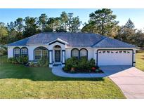 White house with blue roof, landscaping, and a two-car garage at 11296 Gallinule Ave, Weeki Wachee, FL 34613