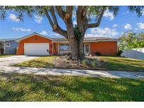 Charming ranch home with a large tree and spacious yard at 465 Meadowlark Ln, Palm Harbor, FL 34683